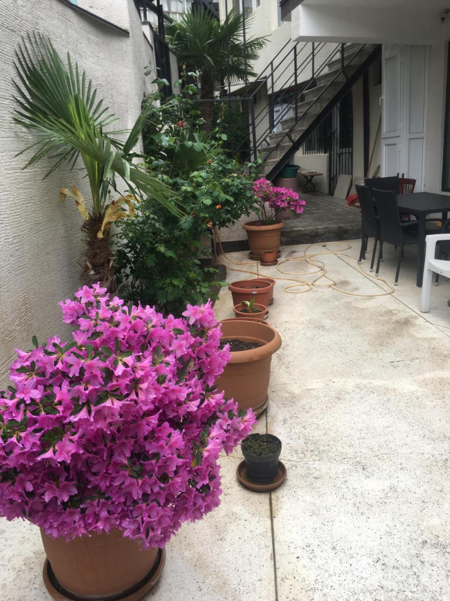 10 Shindisi Street,Tbilisi公寓 外观 照片